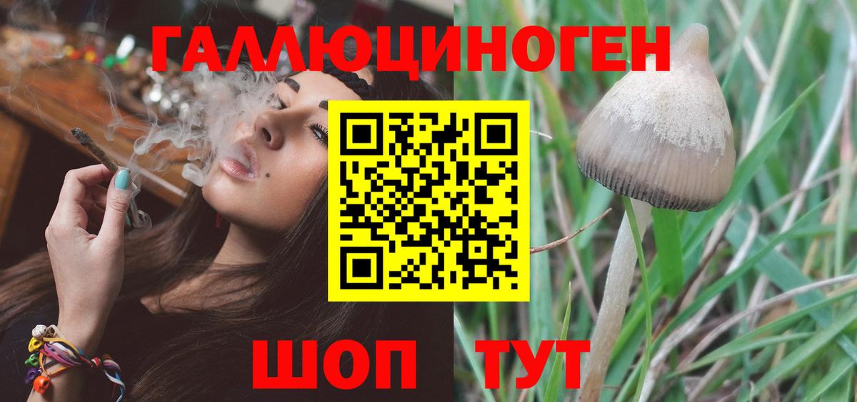 Галлюциногенные грибы Psilocybine cubensis Нарьян-Мар